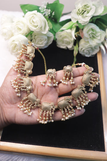 Royal Gaja Pearl Matte Choker Set