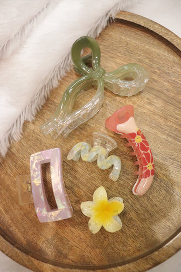 Everyday Chic Hair Clip Combo – Set of 5 (Assorted Colors)